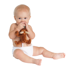 NOOKUMS MARLEY MOOSE BUDDIES
