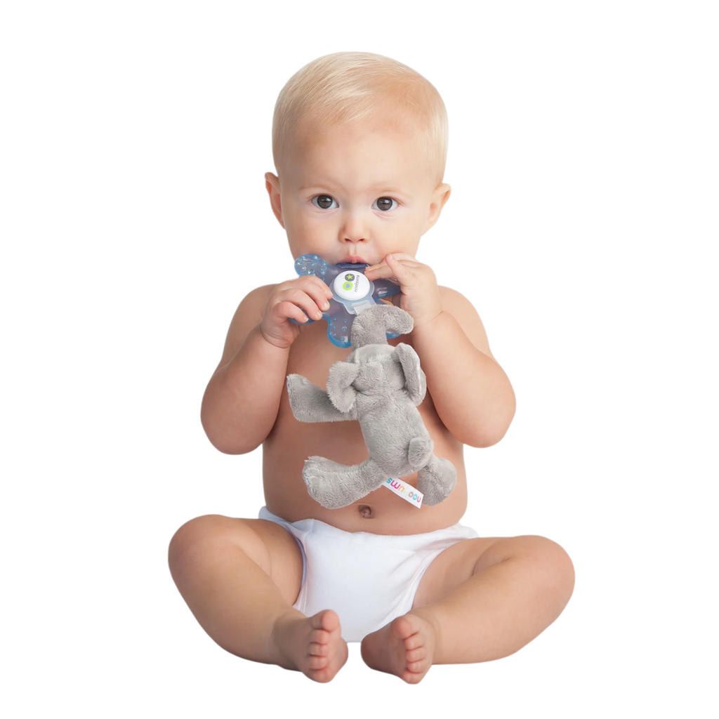 NOOKUMS PACI PLUSHIES-BLUE TEETHER