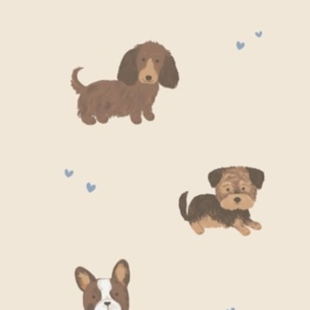 ANGEL DEAR Best Friend Dogs - French Terry - Uni - Raglan Sweatshirt + Jogger Set