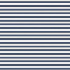 ANGEL DEAR Stripes With Sibling Embroidery - Organic Cotton Jersey - Big Bro - Uni L/S Shirt