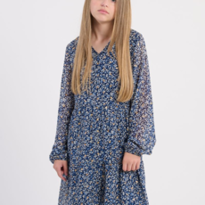 MOLLY BRACKEN GIRL'S WOVEN DRESS BLUE NORA