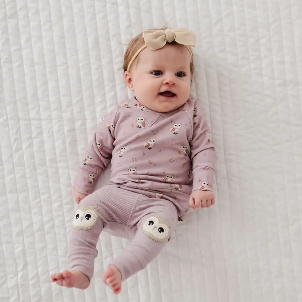 BABYSPROUTS Girl's Raglan Sweatshirt Owls w/Patch Ribbed Leggings Lav Cloud