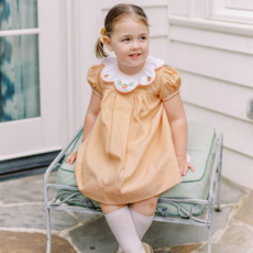 THE PROPER PEONY Pembroke Pumpkin Dress