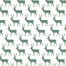 Lila + Hayes TRIPP BOY'S POLO SHORTALL-