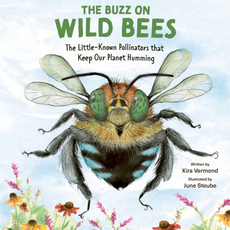 THE BUZZ ON WILD BEES