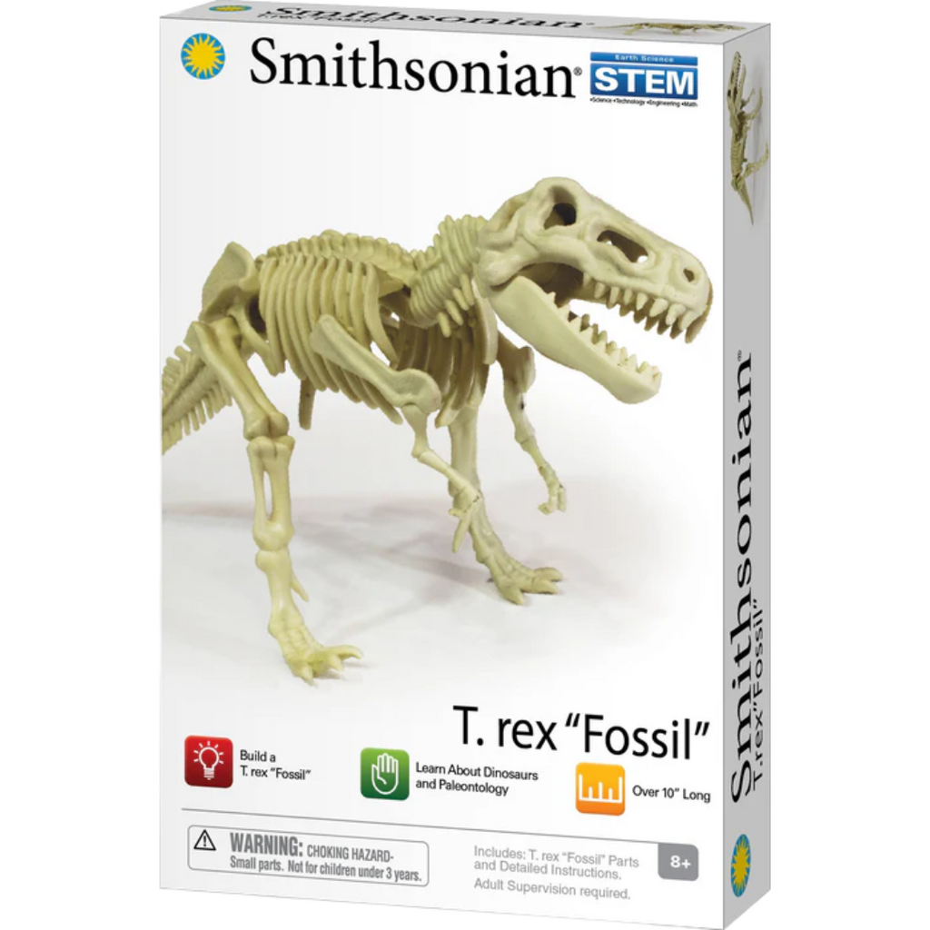TOYSMITH Smithsonian Dinosaur Fossils Trex Value Set