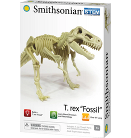TOYSMITH Smithsonian Dinosaur Fossils Trex Value Set