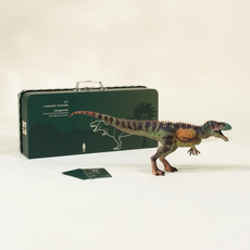 COCO VILLAGE TYRANNAOSAURUS REX DINOSAUR IN COLLECTIBLE BOX
