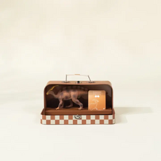 COCO VILLAGE PARASAUROLOPHUS DINOSAUR IN COLLECTIBLE BOX