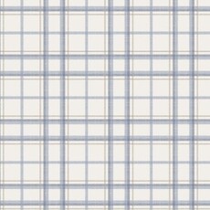 ANGEL DEAR Blue Plaid - L/S Western Pearl Snap Shirt with Howdy Embroidery on Back