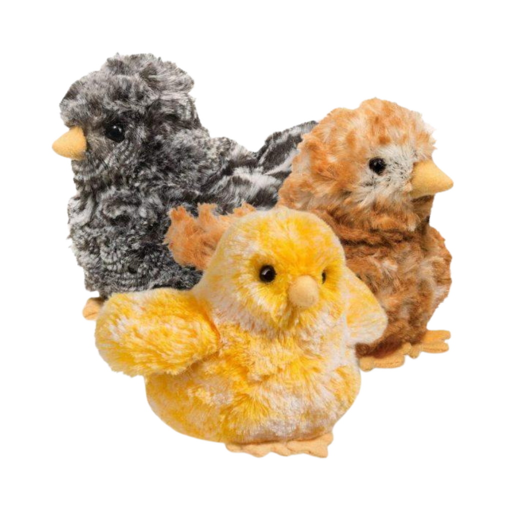 CHICK ASSORTMENT