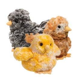 CHICK ASSORTMENT