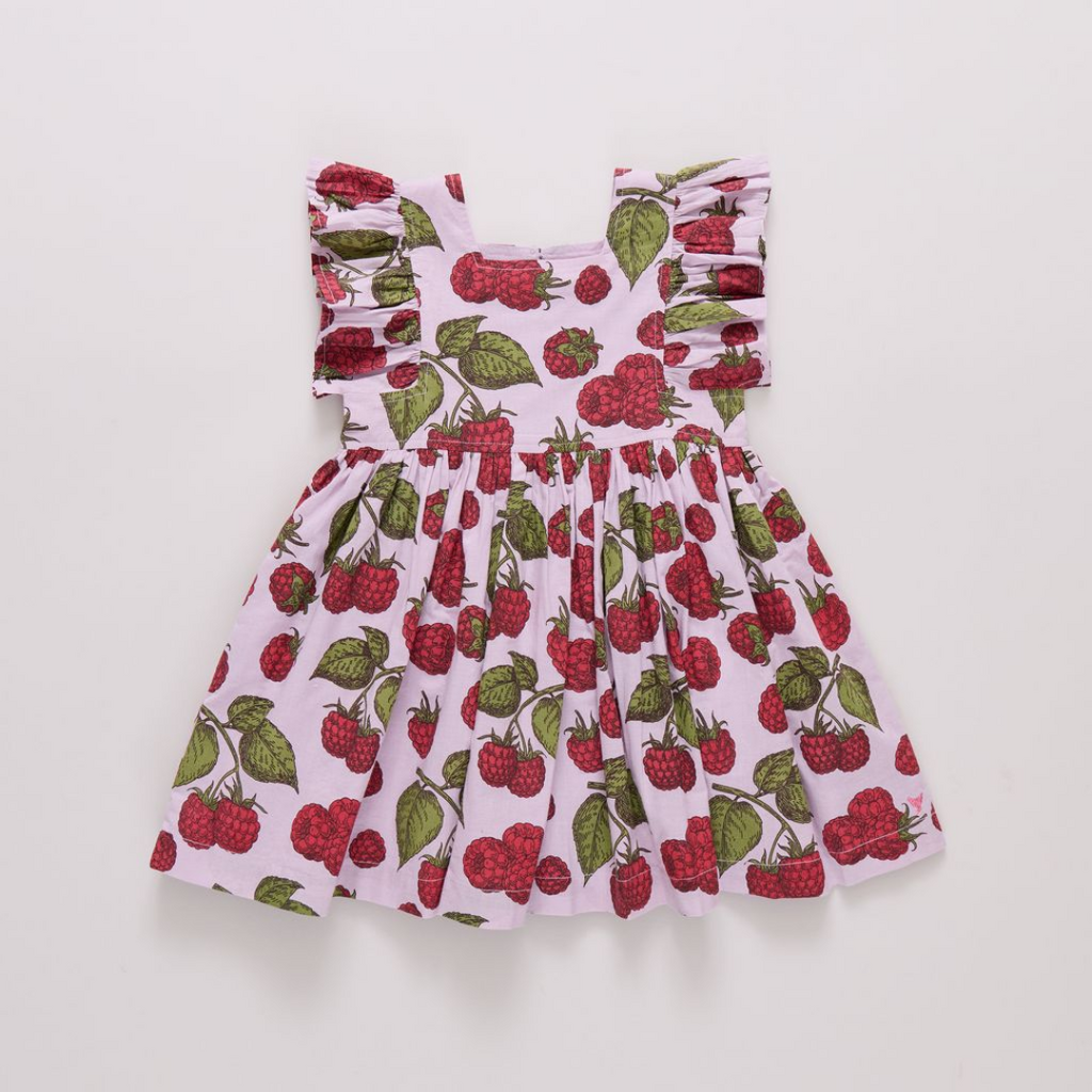 PINK CHICKEN girls elsie dress - lavender raspberries