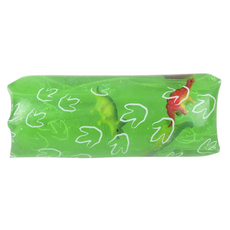 TOY NETWORK DINOSAUR WATER WIGGLER