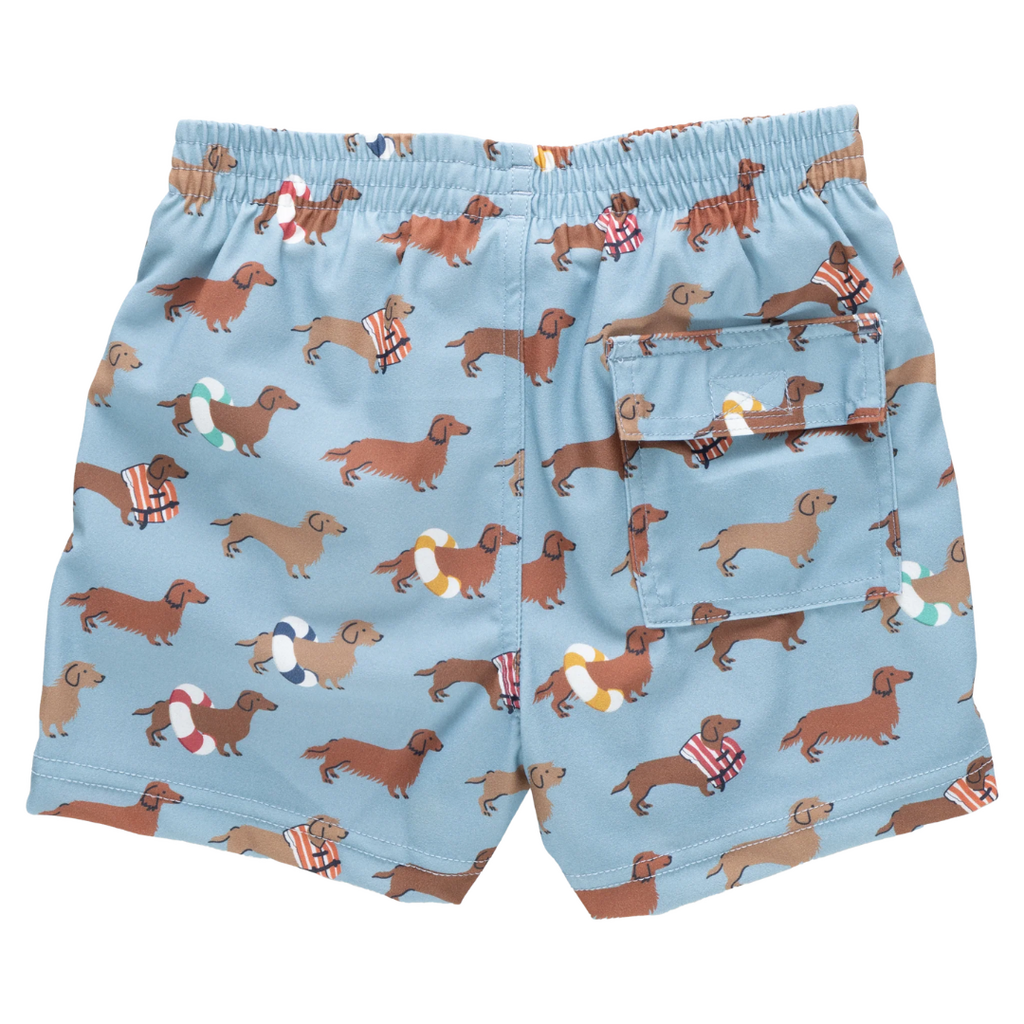 PINK CHICKEN Boys Swim Trunk - Swim Dachshunds