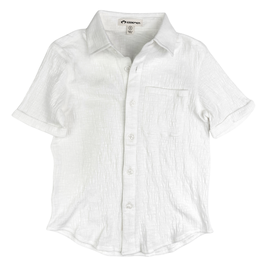 Appaman Beach Shirt