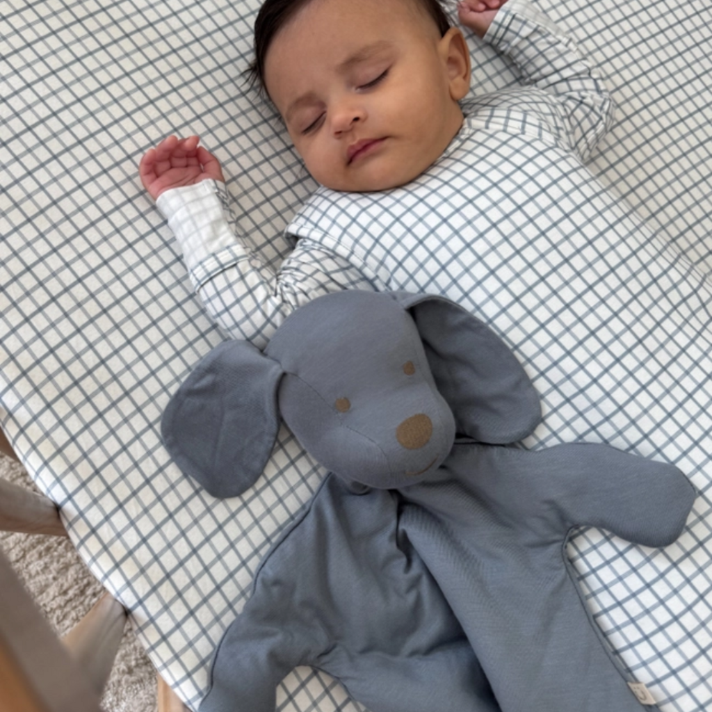 GUNAMUNA LOVEY PUP-SAMMY