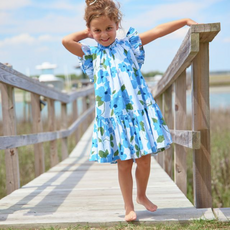 PINK CHICKEN girls harper dress - hibiscus floral