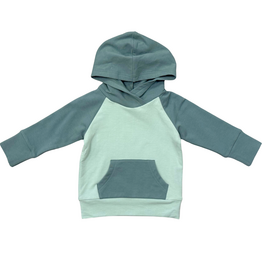BABYSPROUTS Boy's Raglan Hoodie Atlantic