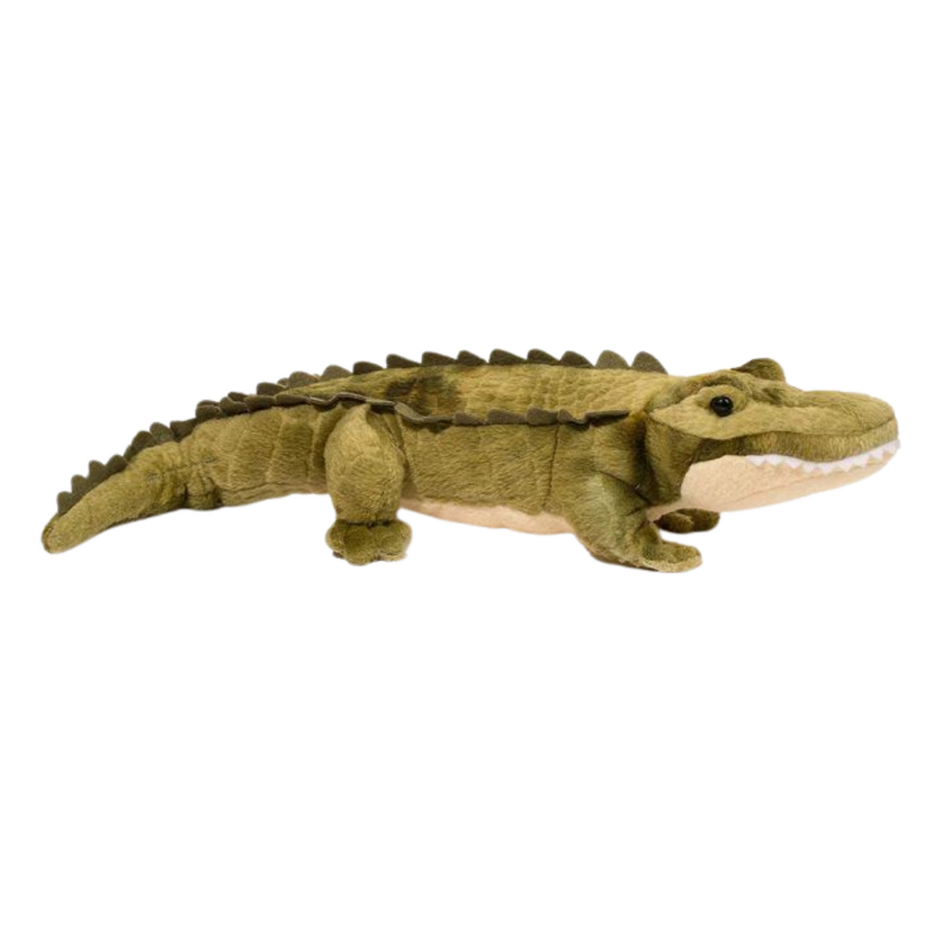 DOUGLAS STREAM LINE ALLIGATOR
