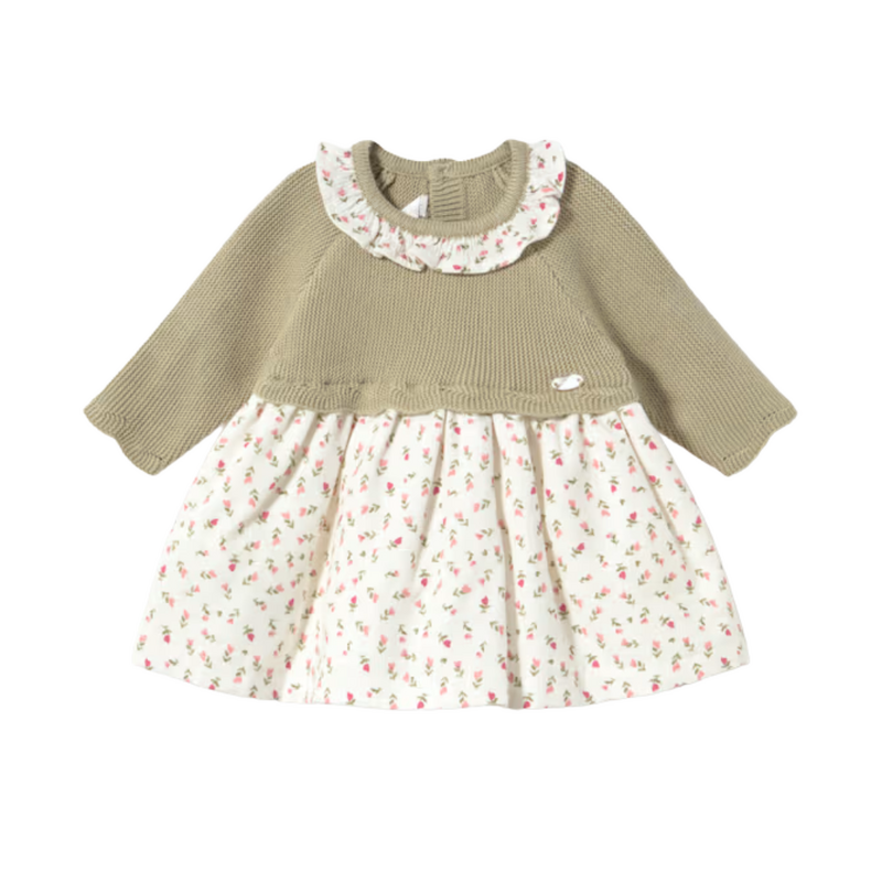 Newborn Girl Knit Dress-Bay Leaf
