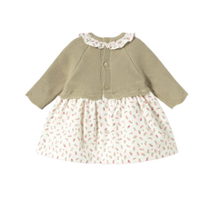 Newborn Girl Knit Dress-Bay Leaf