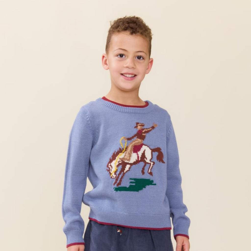 PINK CHICKEN Boys Oliver Sweater - Bronco