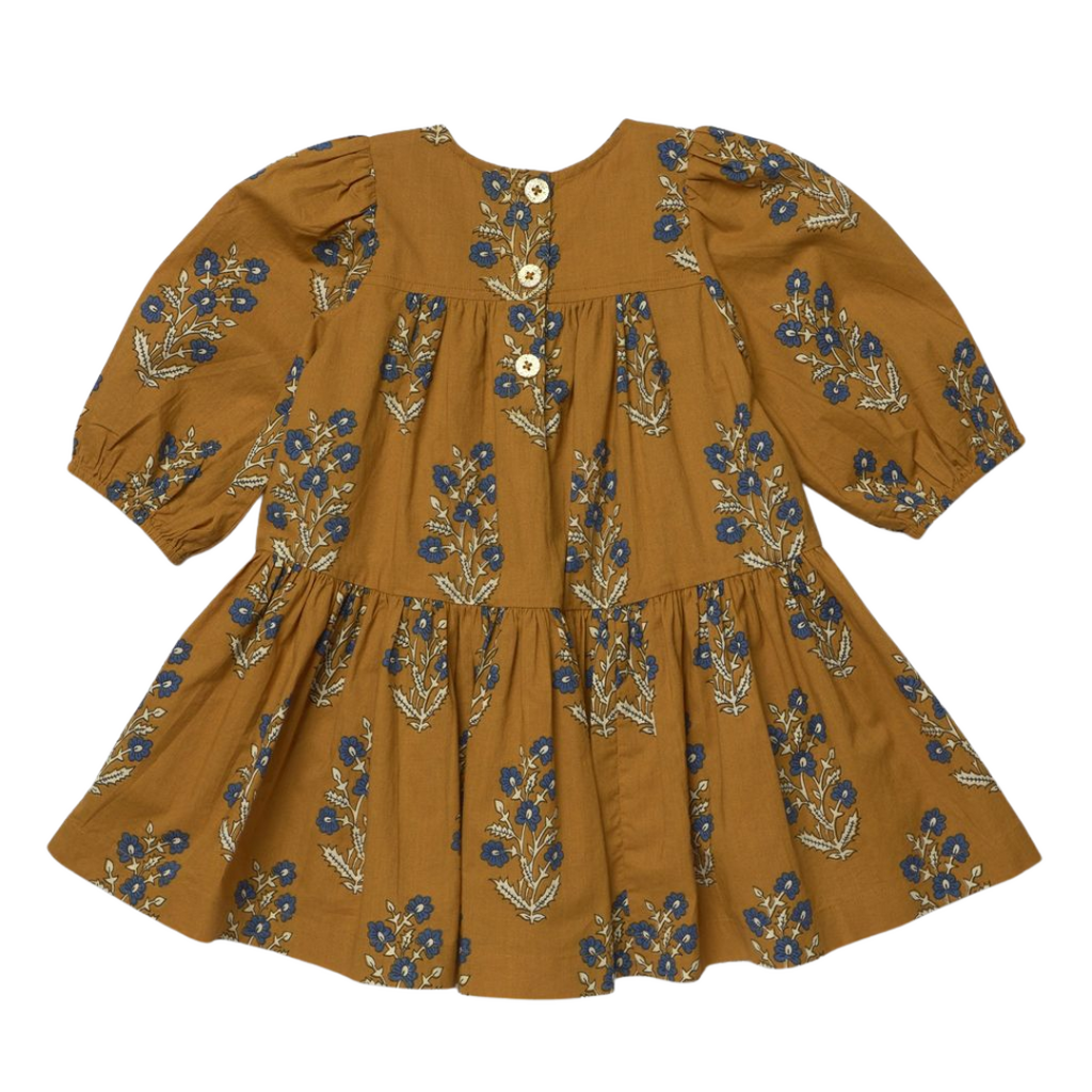PINK CHICKEN girls fiona dress - harvest dewdrop