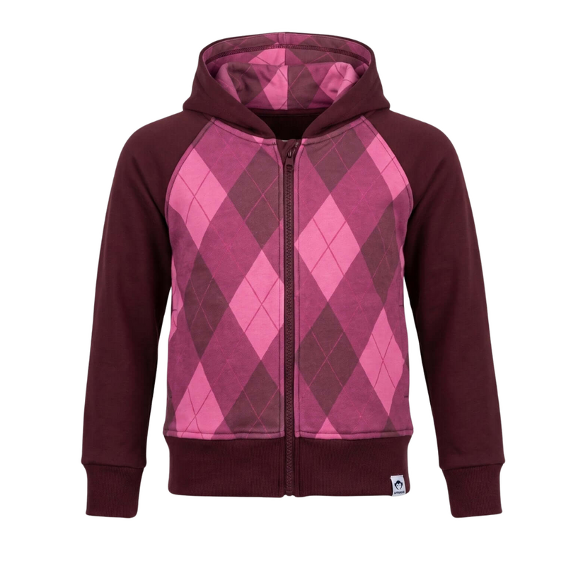 Appaman Cozy Raglan Hoodie