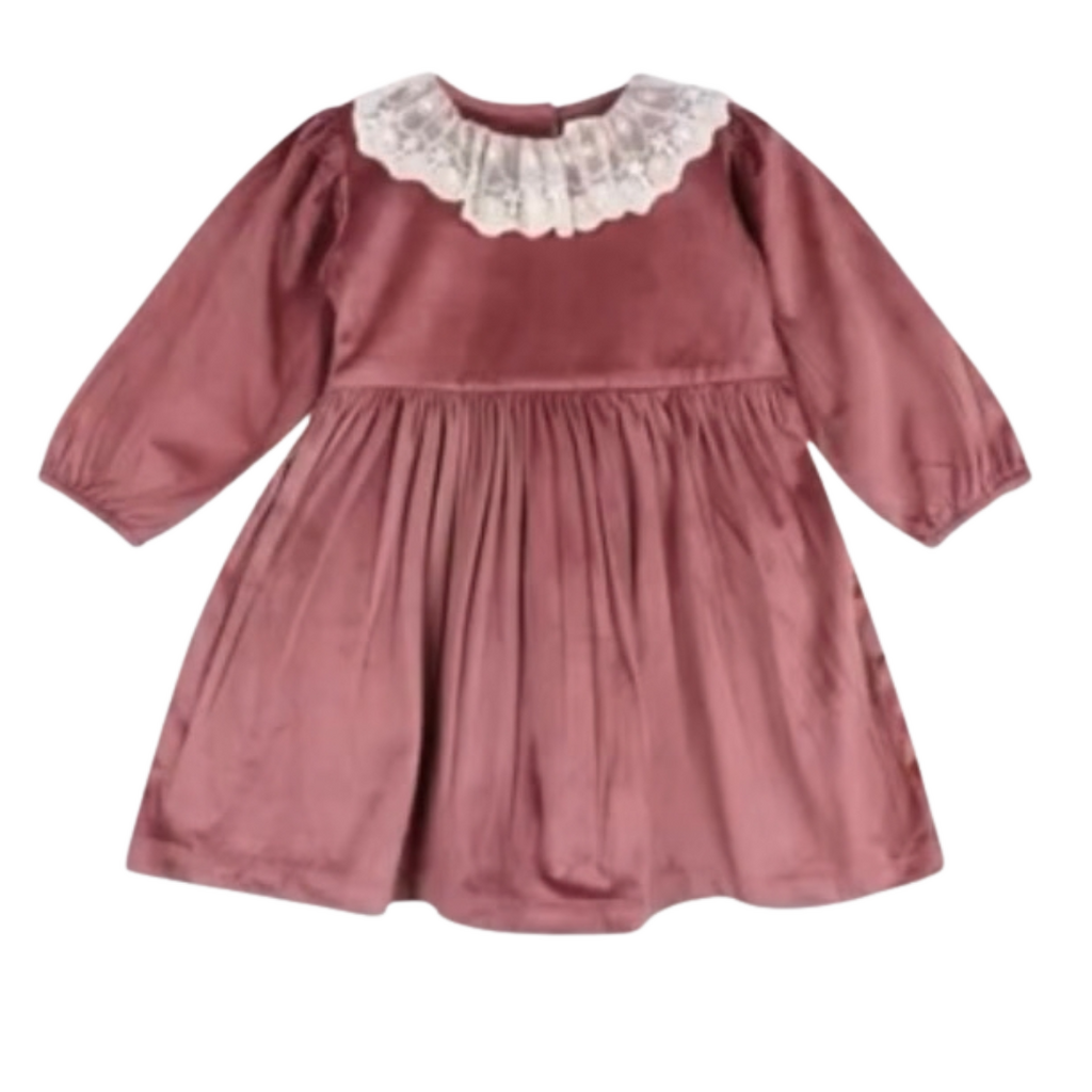 LARILI Withered Rose Velvet Dress