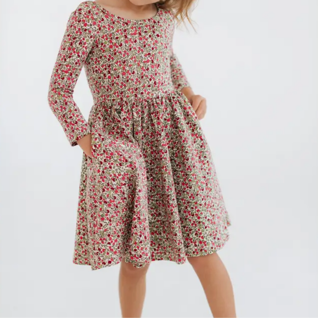 GOOD APPLES KIDS 3/4 Sleeve Twirl Dress in Crimson Flora