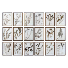 Botany Framed Prints