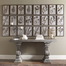 Botany Framed Prints