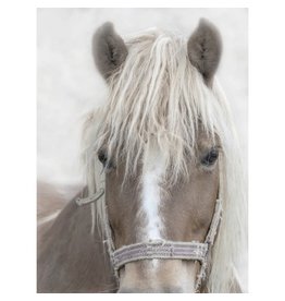 Wendover Art Horse Halter 1 47x63