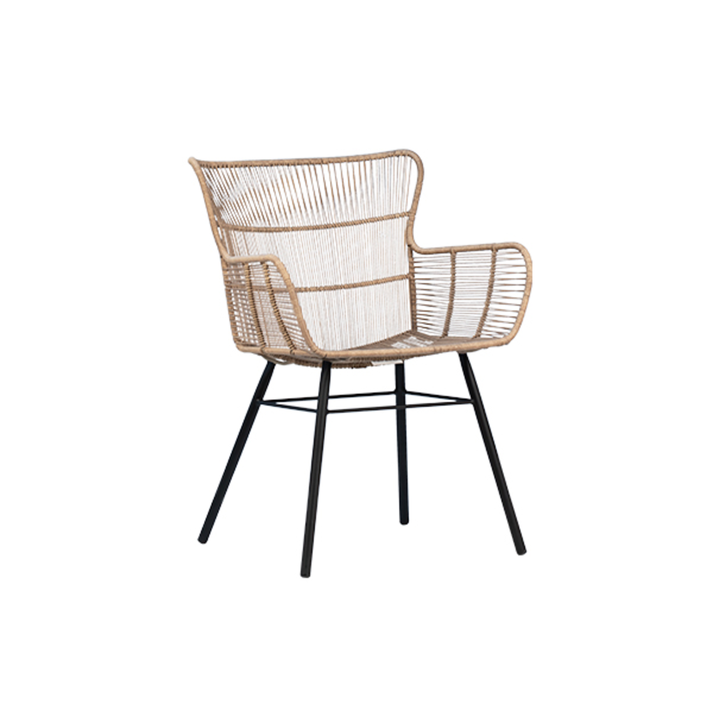Delfine Dining Chair 23x33x24