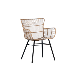Delfine Dining Chair 23x33x24