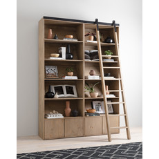 Bane Bookshelf
