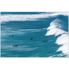 Wendover Art Surfs Up 60.25x40.25