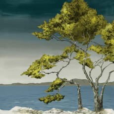 LBA Lone Tree I