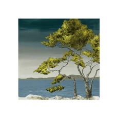 LBA Lone Tree I