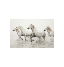 LBA Sweet Escape 54 x 36