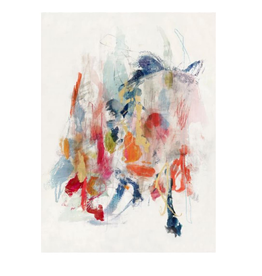 LBA Mix of Color 40 X 55