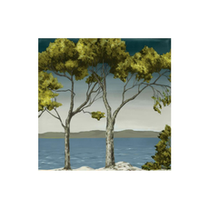 LBA Lone Tree II