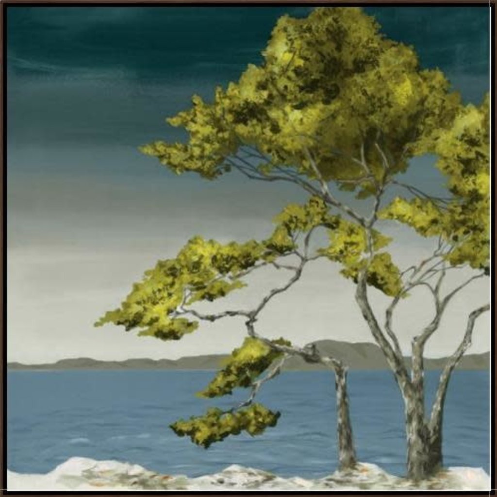 LBA Lone Tree I