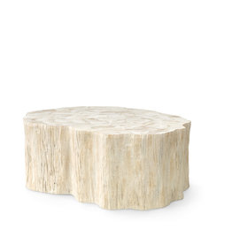 Palecek Camilla Fossilized Clam Coffee Table