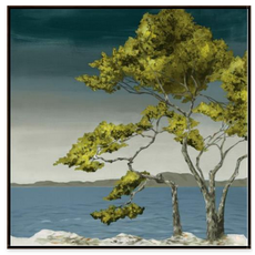 LBA Lone Tree I 40x40