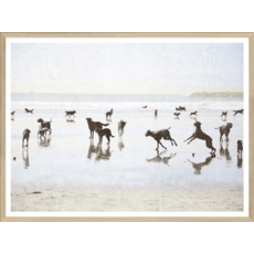 Celadon Art Dogs Day at the Beach 25x19"