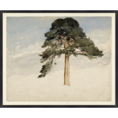 Celadon Art Scottish Fir Tree, 1849