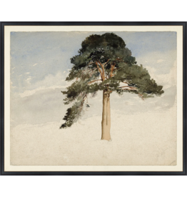 Celadon Art Scottish Fir Tree, 1849