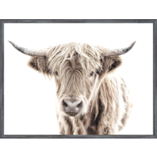 Celadon Art Mod. Farm - Highland Cow - Mini - Grey